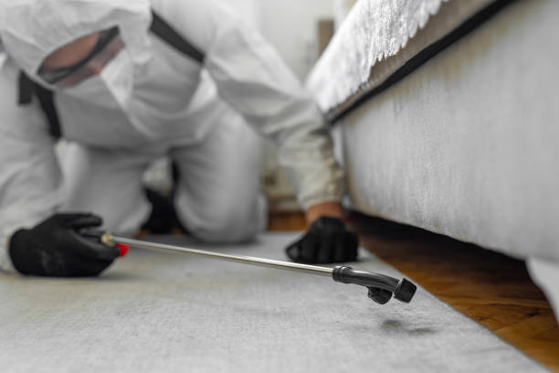 Professional Pest Control technician working in Honolulu, HI