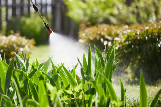 24/7 Emergency Cockroach Control experts in Honolulu, HI
