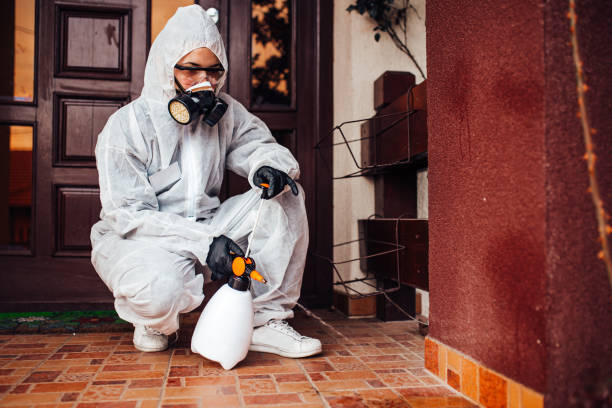 Reliable Cockroach Control contractor in Honolulu, HI by Nex Pest Control