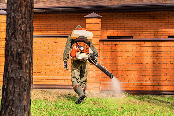 Trusted Rodent Control service in Honolulu, HI - Nex Pest Control